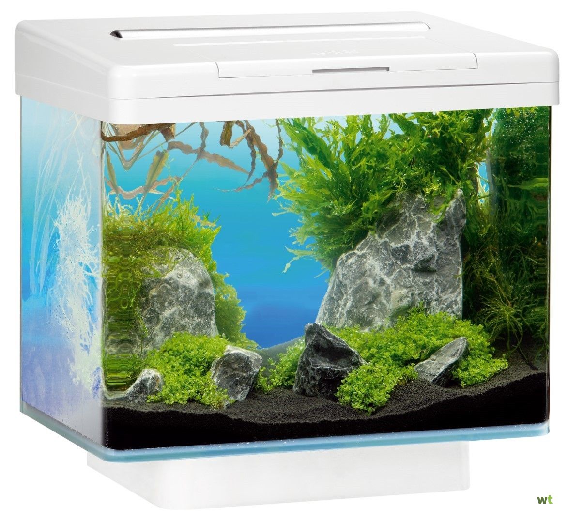 koolstof Pellen Destructief Juwel aquarium Vio 40 met LED 40 wit Juwel Gebr. de Boon