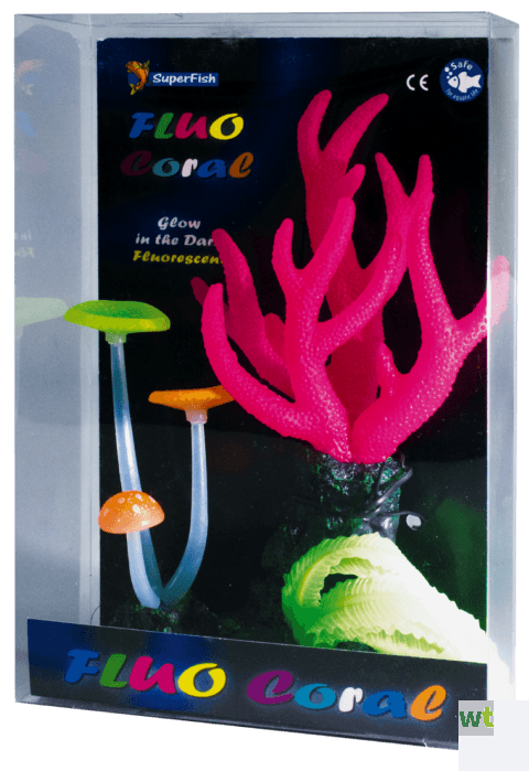 Verliefd Matron Spreek uit Fluo Coral Roze aquaria Superfish