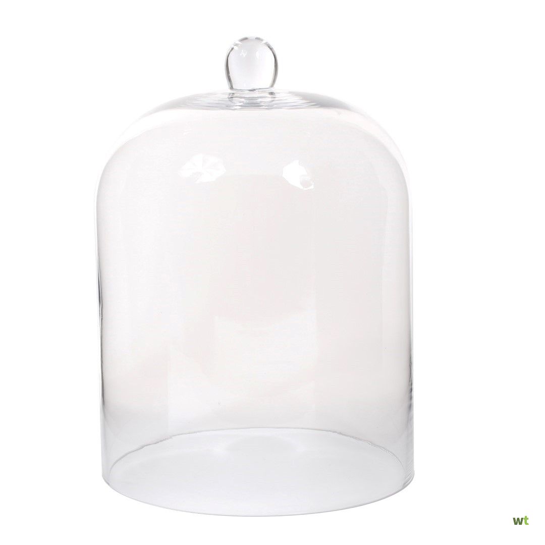 stuk native Struikelen Stolp transparant Amelie glas h 35 d 24,5 cm Mica Decorations Edelman -  E-Retail