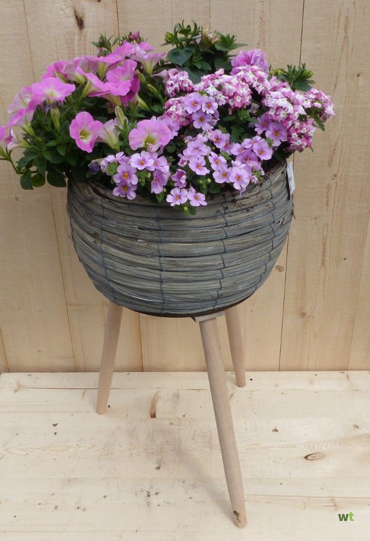 software Banyan volwassene Rieten plantenbak grijs op poten met zomerbloeiers roze h55 cm Warentuin  Natuurlijk