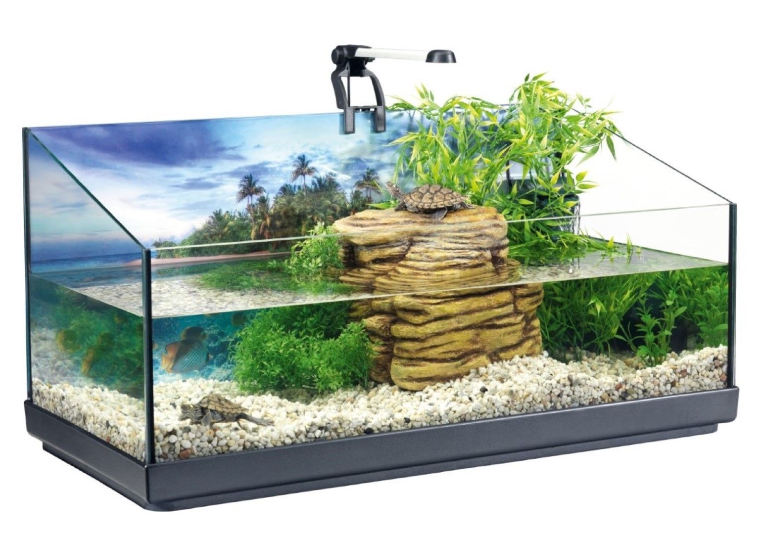 Repto aqua set 76 cm Inhalt 40 Liter Fisch Gebr. de Boon Tetra