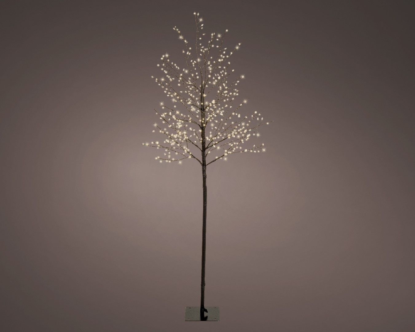 Micro LED Baum d30h150 cm schwarz/weiß Weihnachtsbeleuchtung Lumineo
