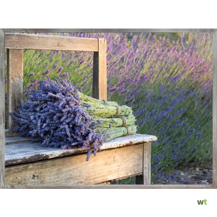Buiten canvas lavendel in 58x78 Home & Garden