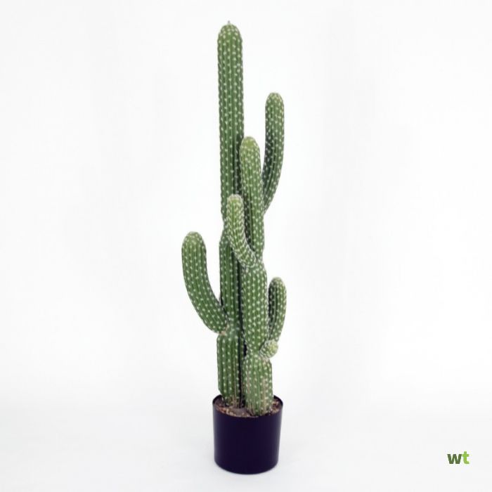 Missie pijn natuurlijk Cactus Counselor met pot kunst plantje Oosterik Home
