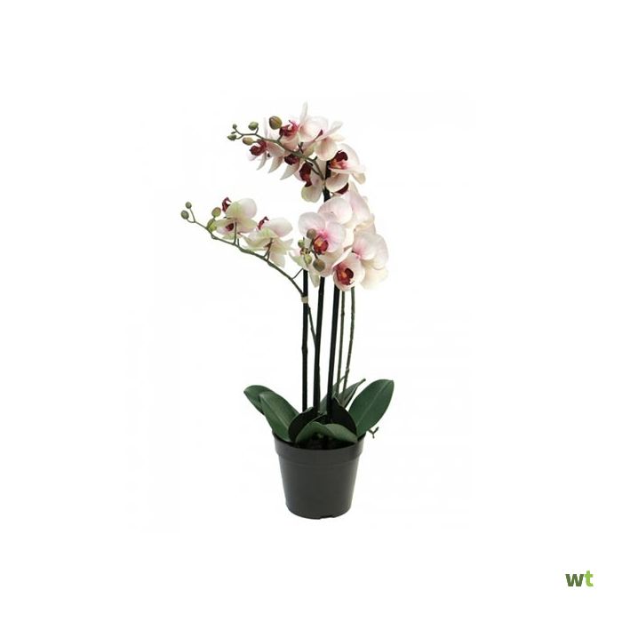 Uitputting pauze maatschappij Phalaenopsis Orchidee In Pot 60 cm roze kunstplant Nova Nature