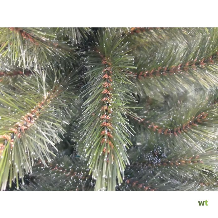 Gebruikelijk Reis Monopoly Forest Frosted Pine kunstkerstboom groen d157 h230 cm Triumph Tree