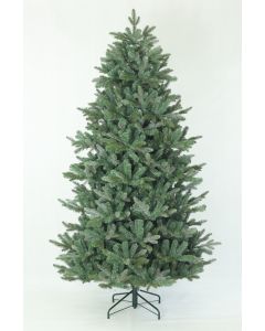 Weihnachtsbaum Maclura h215 cm Black Box Trees