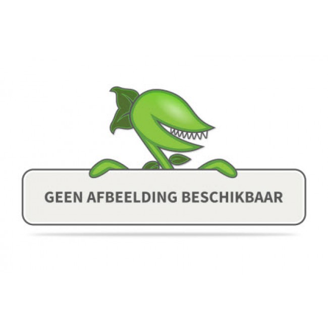 https://static.warentuin.nl/media/catalog/product/placeholder/default/placeholder.jpg