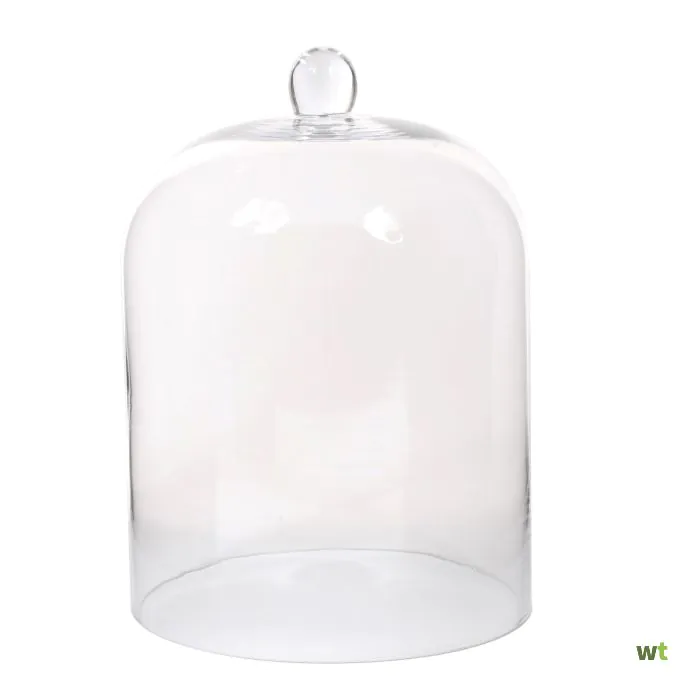 stuk native Struikelen Stolp transparant Amelie glas h 35 d 24,5 cm Mica Decorations Edelman -  E-Retail